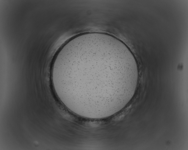 X0000095540103200801041318