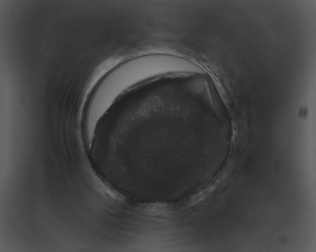 X0000095540104200801041318