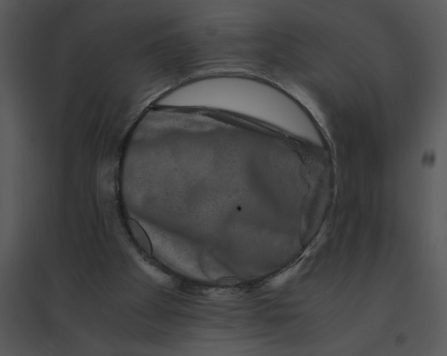 X0000095540105200801041318