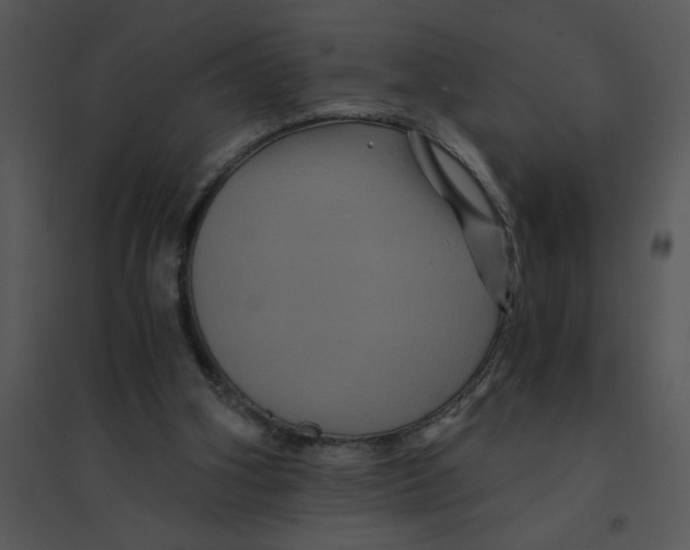 X0000095540106200801041318