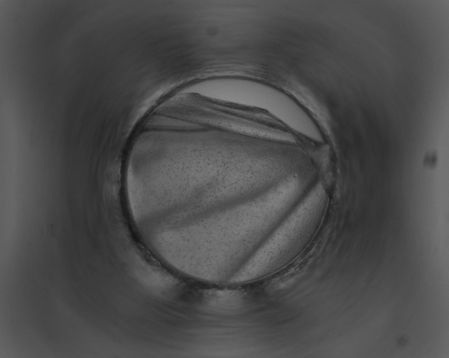 X0000095540107200801041318