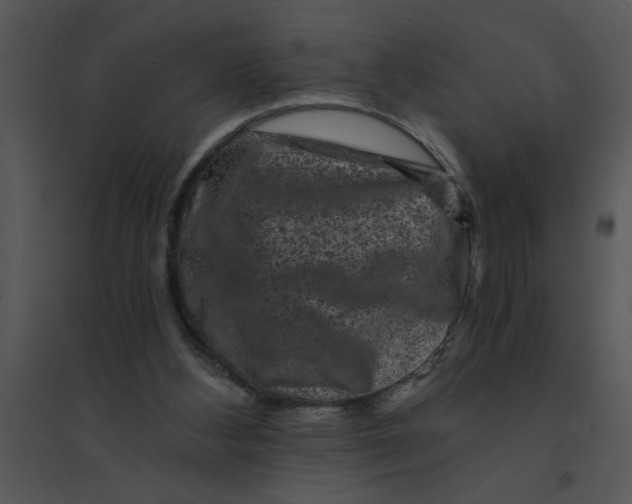 X0000095540108200801041318