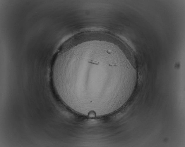 X0000095540111200801041318