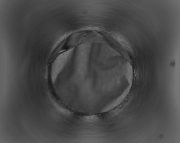 X0000095540112200801041318