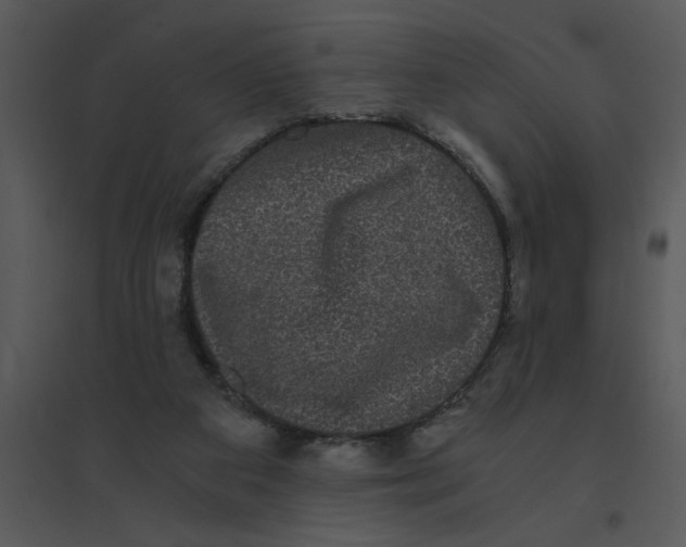 X0000095540113200801041318