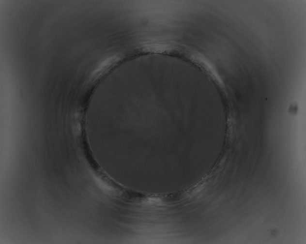 X0000095540114200801041318