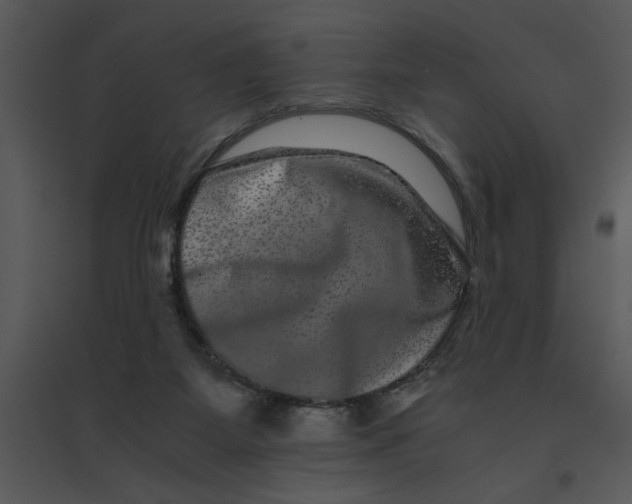 X0000095540115200801041318