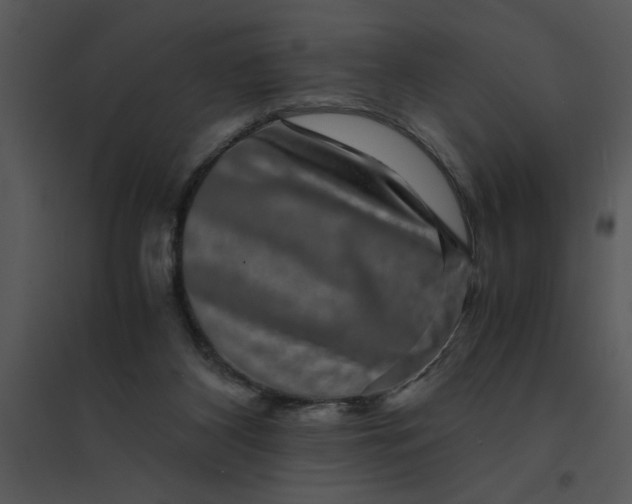 X0000095540116200801041318