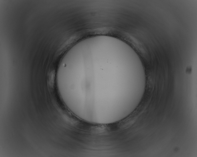 X0000095540118200801041318