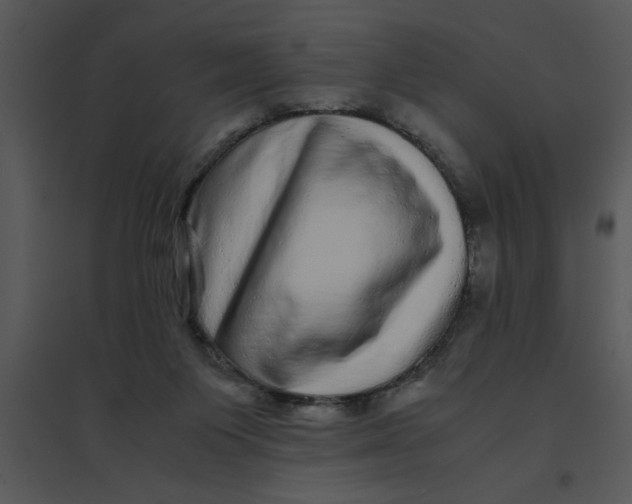 X0000095540119200801041318