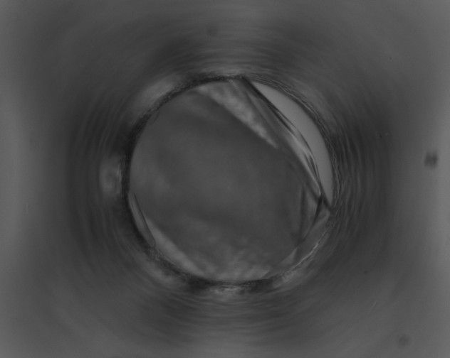 X0000095540120200801041317