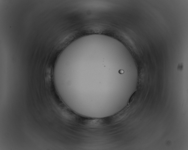 X0000095540122200801041317