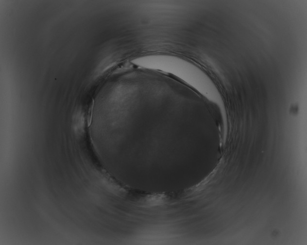 X0000095540124200801041317