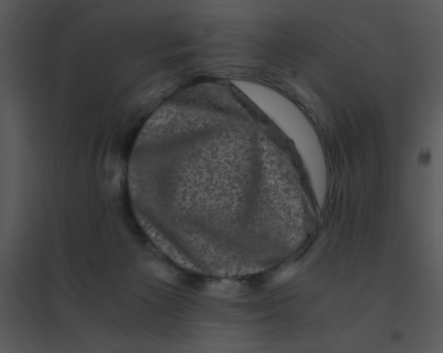 X0000095540125200801041317