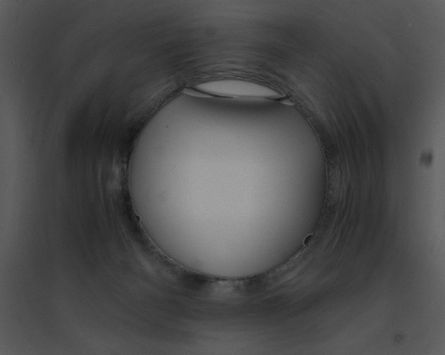 X0000095540126200801041317