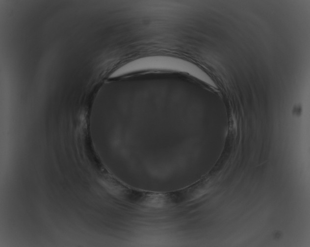 X0000095540127200801041317