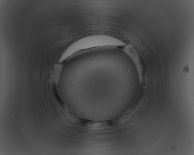 X0000095540129200801041317