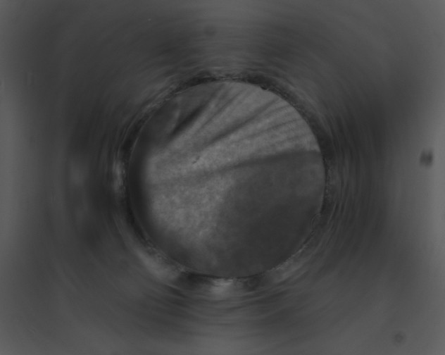 X0000095540130200801041317