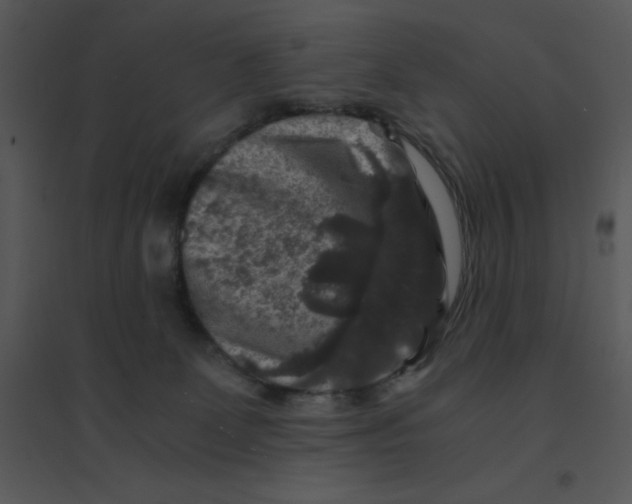 X0000095540131200801041317