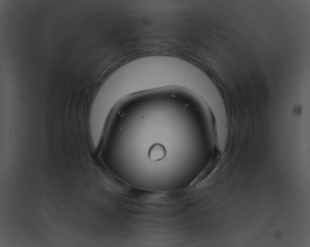 X0000095540132200801041317