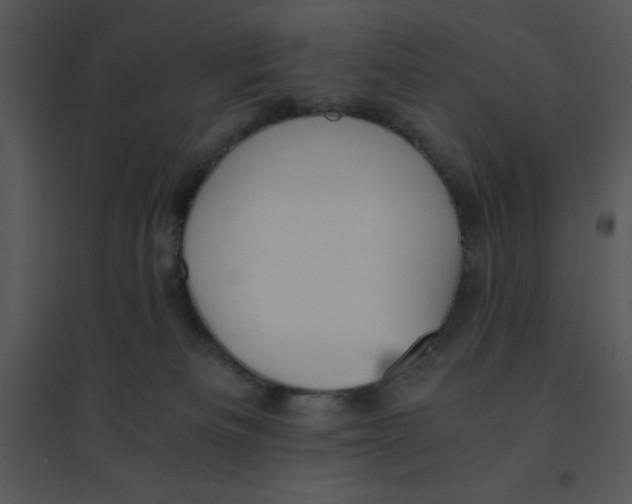 X0000095540133200801041317