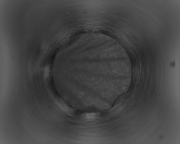 X0000095540134200801041317