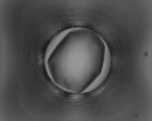 X0000095540135200801041317