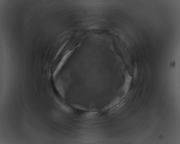 X0000095540136200801041317