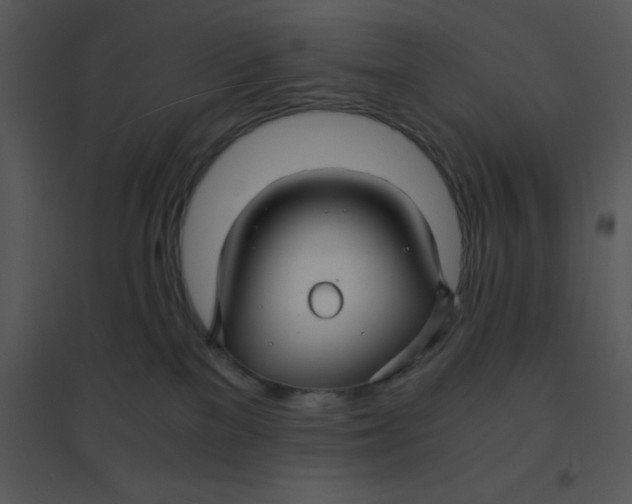 X0000095540137200801041317