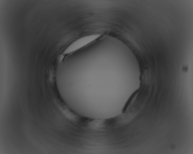 X0000095540138200801041317