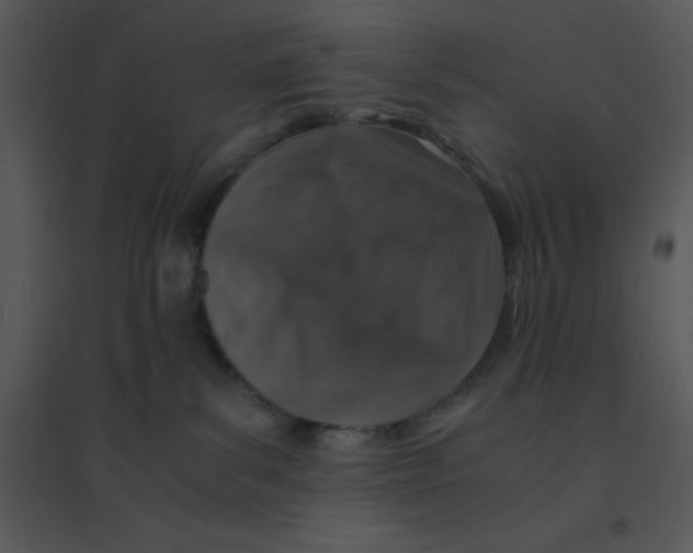 X0000095540139200801041317