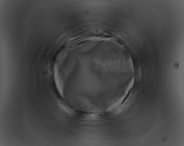 X0000095540140200801041317