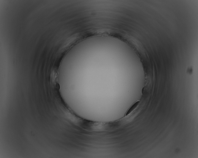 X0000095540142200801041317