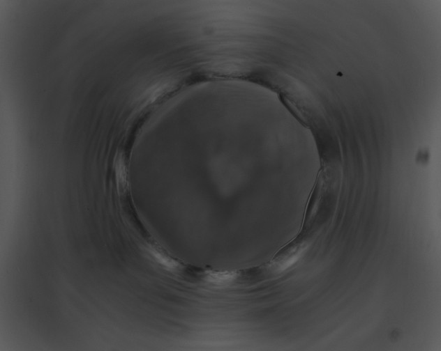 X0000095540143200801041317