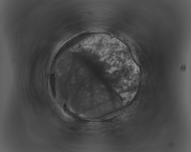 X0000095540145200801041317