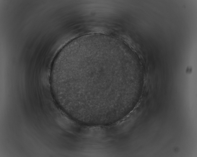 X0000095540146200801041317