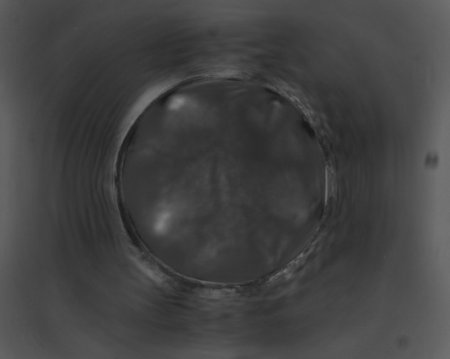 X0000095540147200801041317