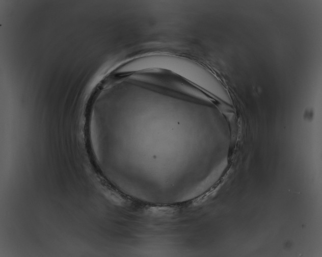 X0000095540150200801041317