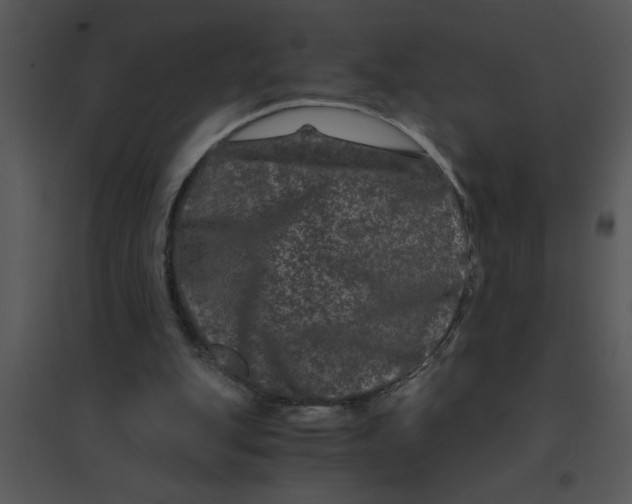 X0000095540151200801041317