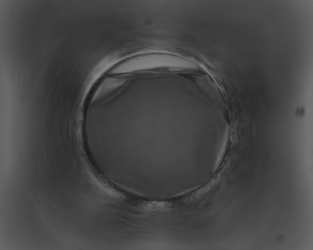 X0000095540152200801041317