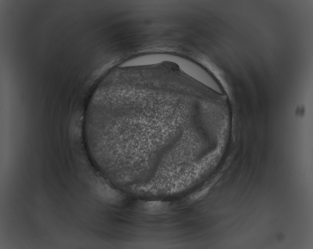 X0000095540153200801041317