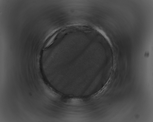 X0000095540154200801041317