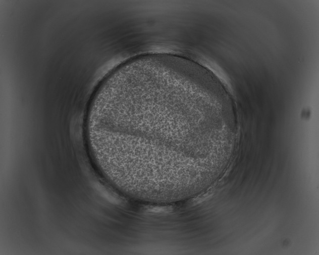 X0000095540155200801041317