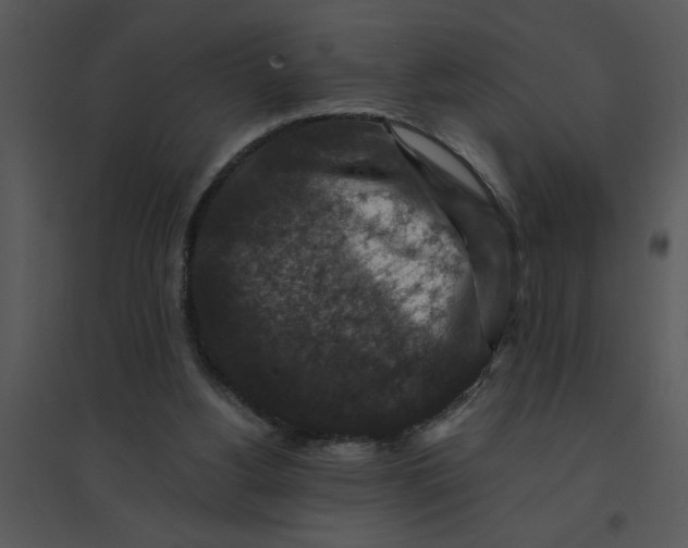 X0000095540156200801041317