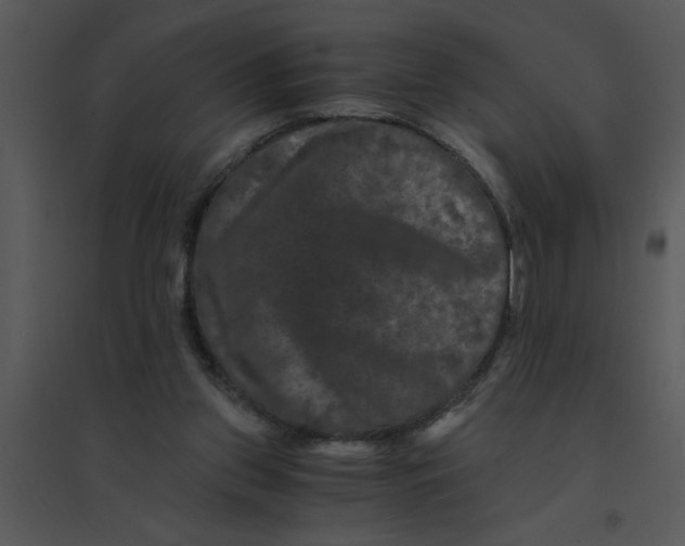 X0000095540157200801041317