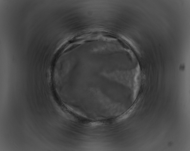 X0000095540158200801041317