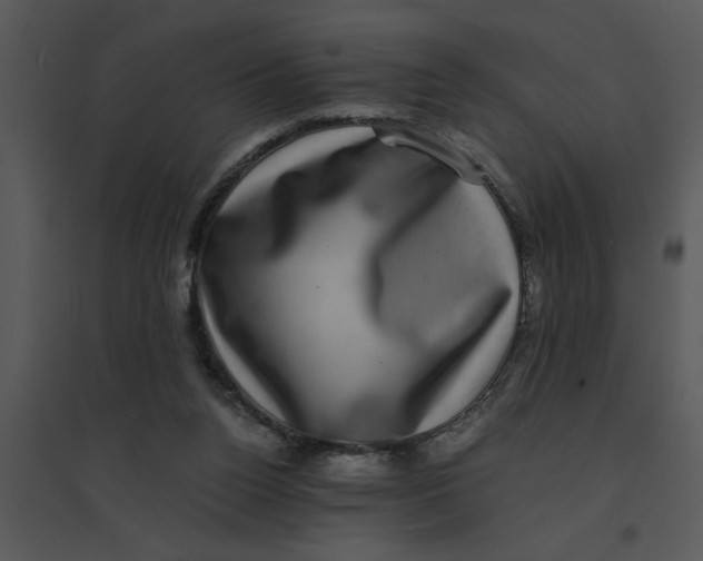 X0000095540160200801041317