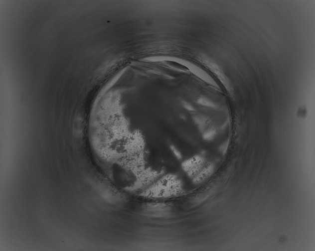 X0000095540161200801041317