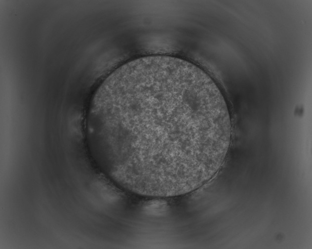 X0000095540162200801041317