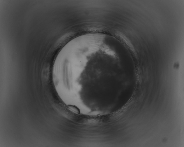 X0000095540163200801041317